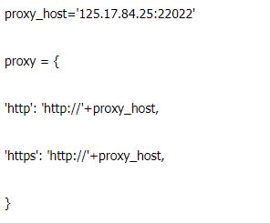 新手程序員使用HTTP代理IP進(jìn)行程序設(shè)計(jì)時(shí)的一些建議